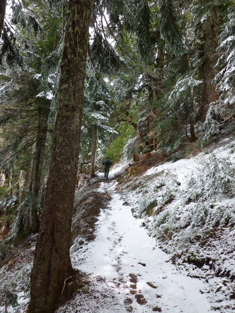 Trail view