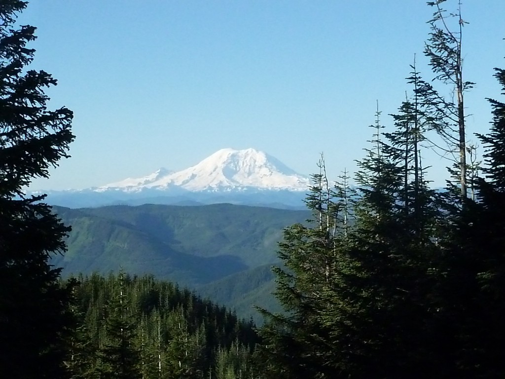 Ho hum ,just another view of Mt. Rainier