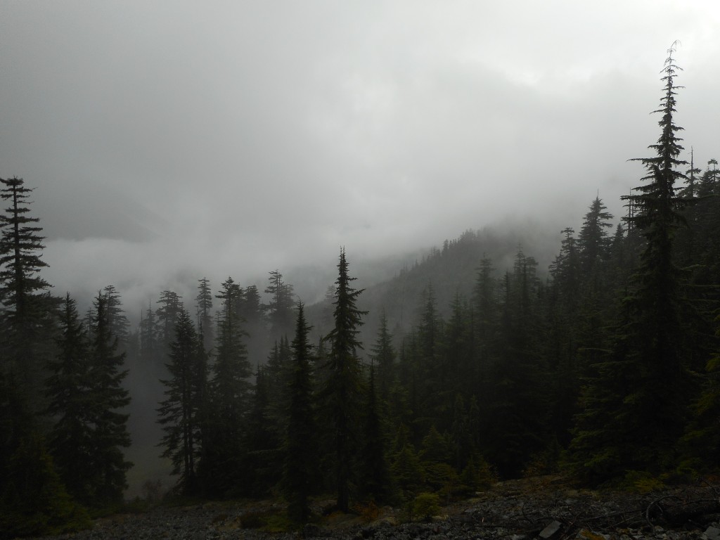Misty Mountain view