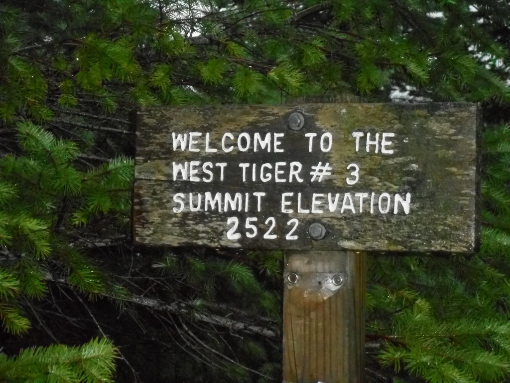 Tiger 3 Summit/end of cable line trail