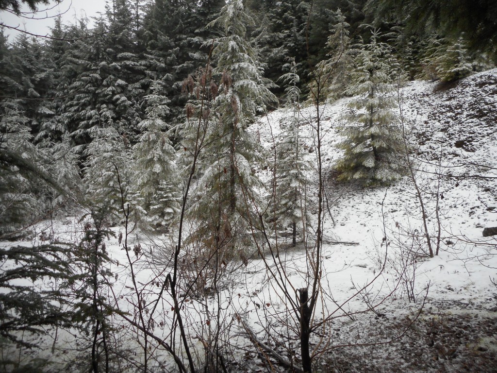 Hiking in a winter wonderland