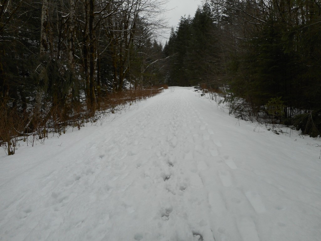 The snowy section of the trail