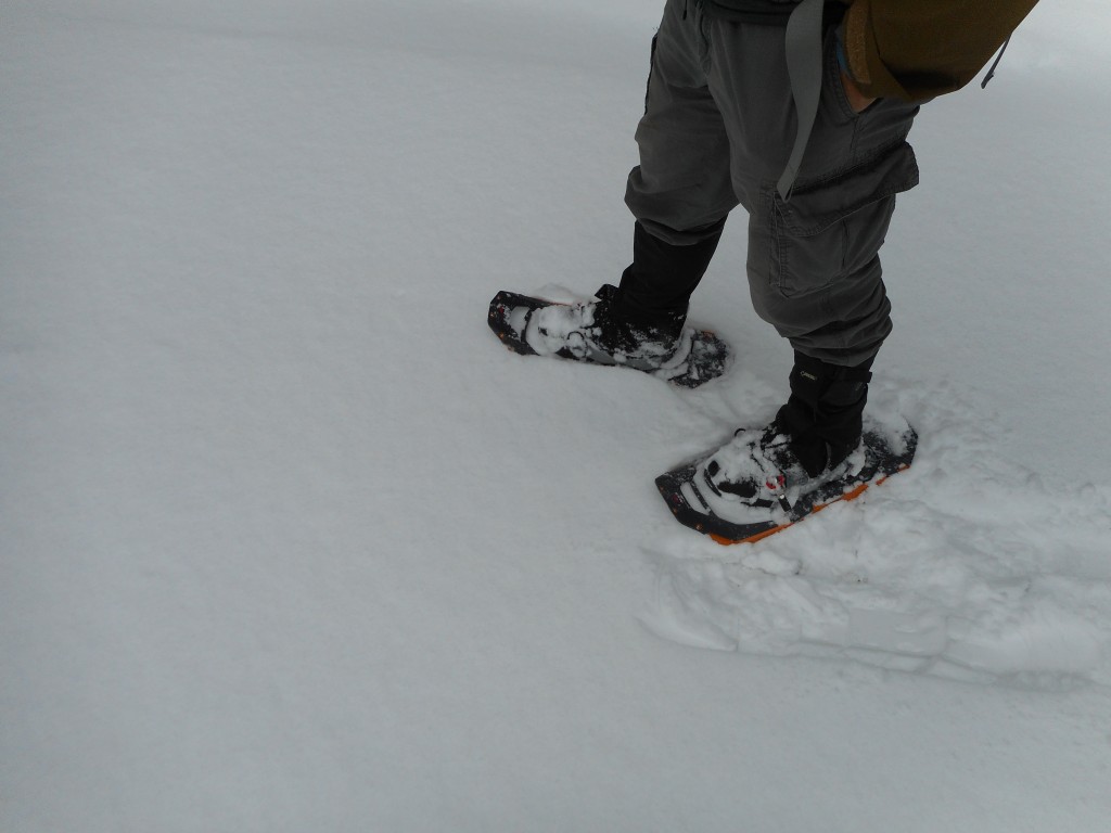 There's no shoes like snowshoes