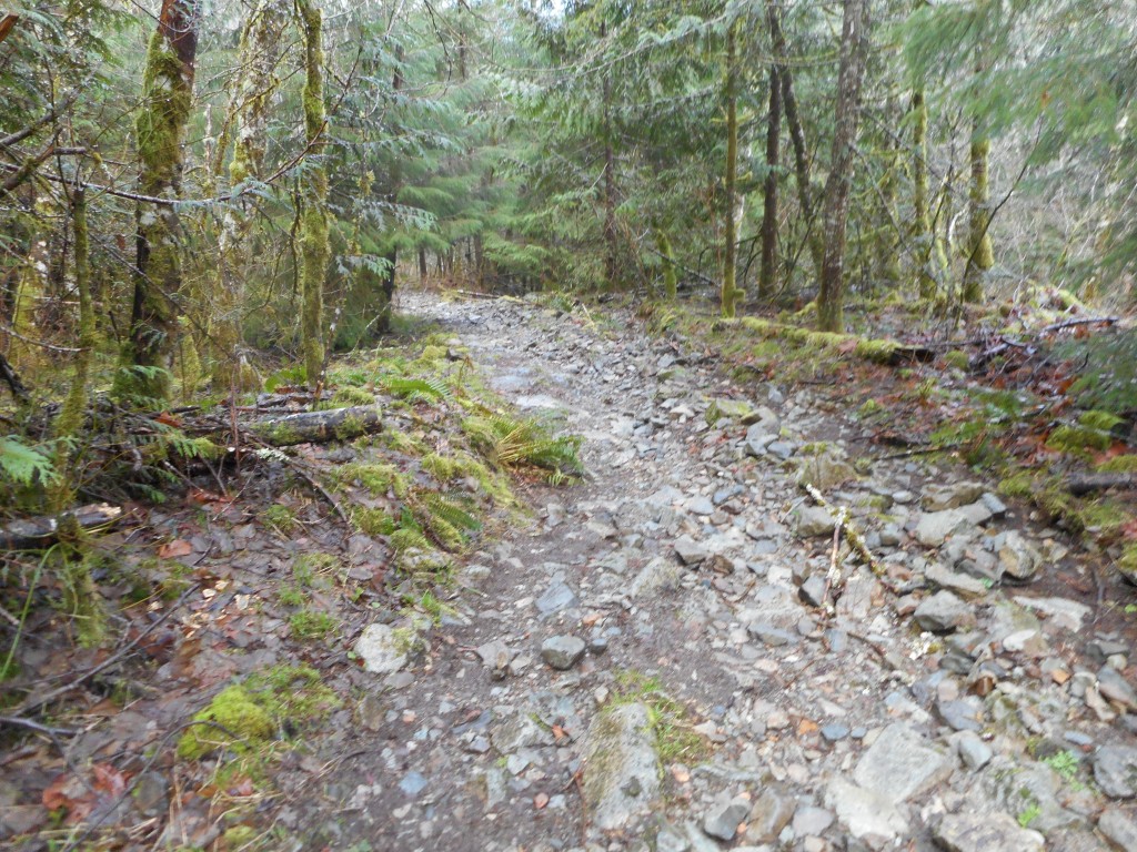 Much of Mt. Wa trail was rocky like this