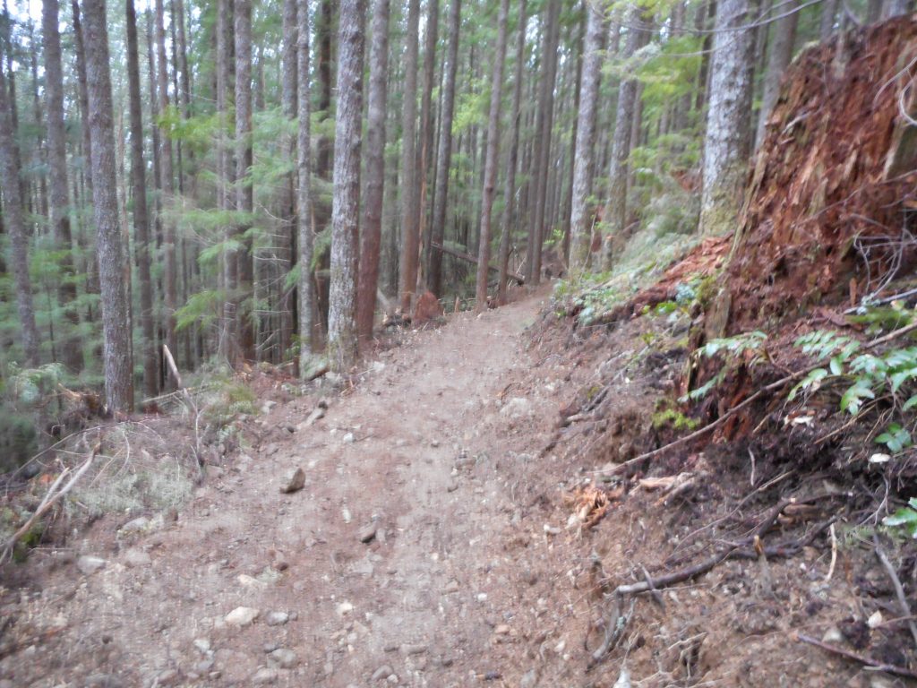 Typical Trail View
