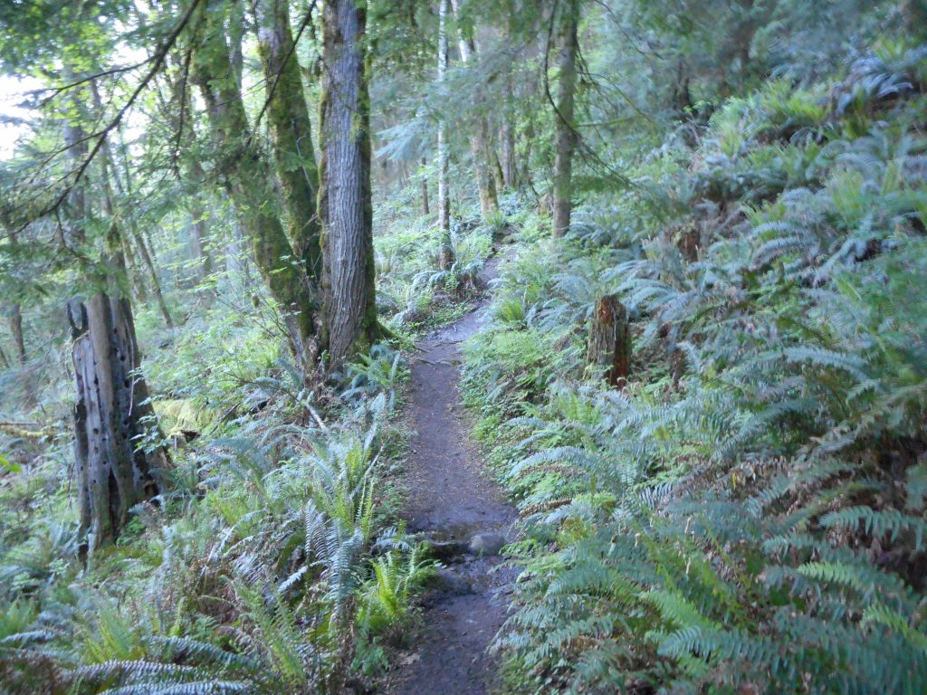 Talus Rock Trail