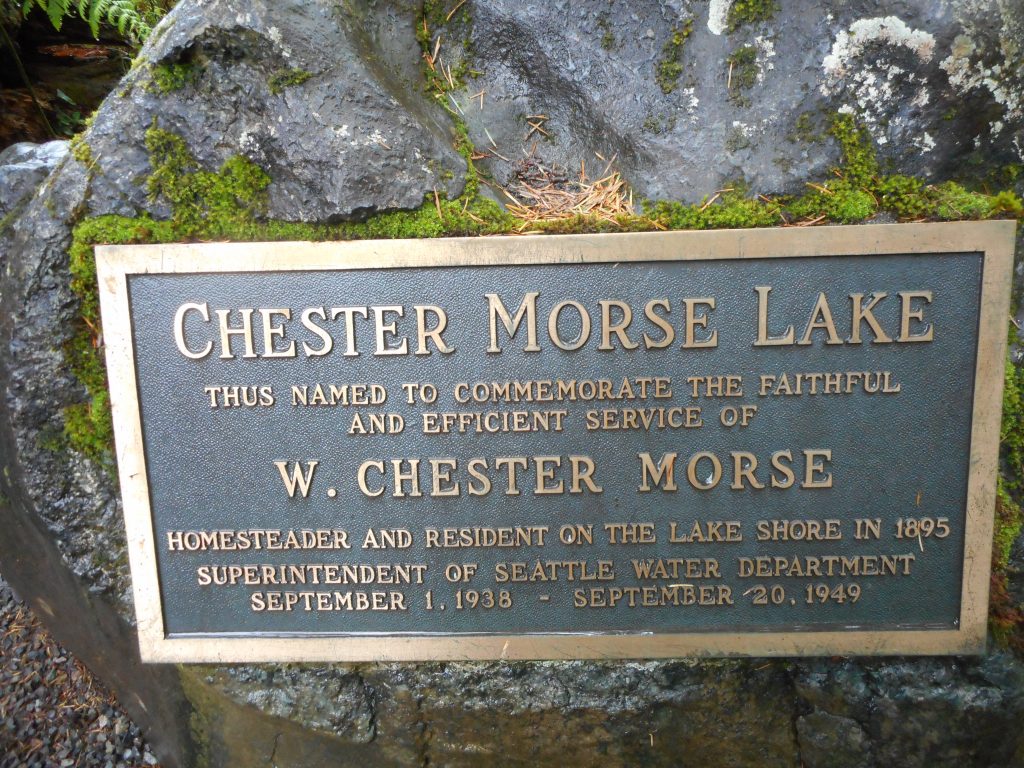 About Chester Morse