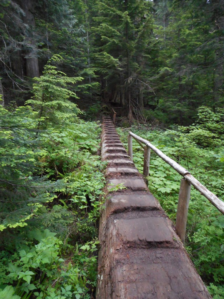 Log bridge