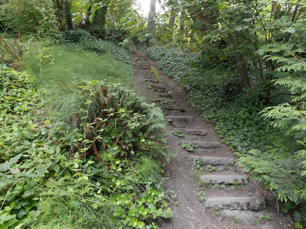 Steps in Golden Gardens Park