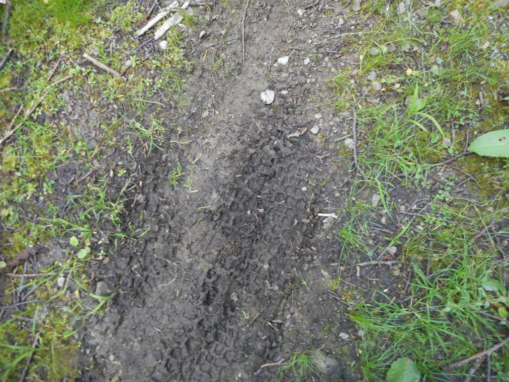Dirt bike tracks