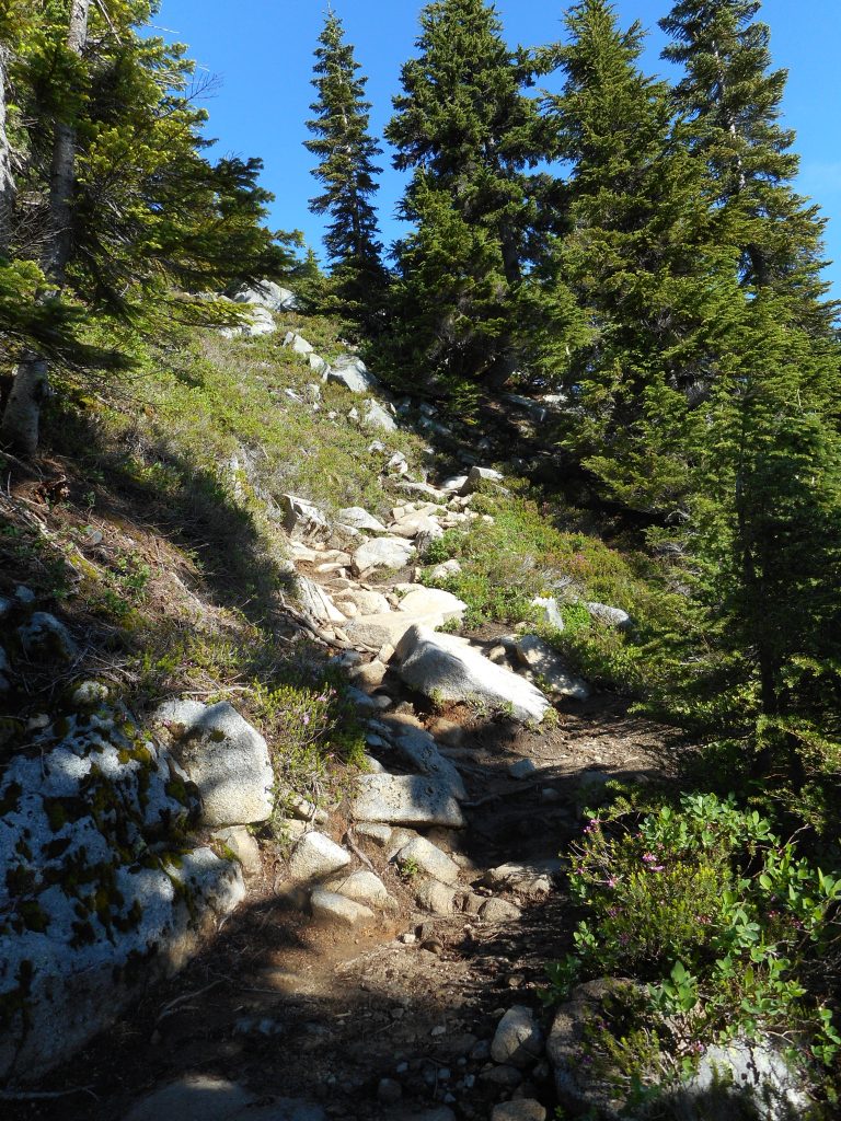 Last section of the trail
