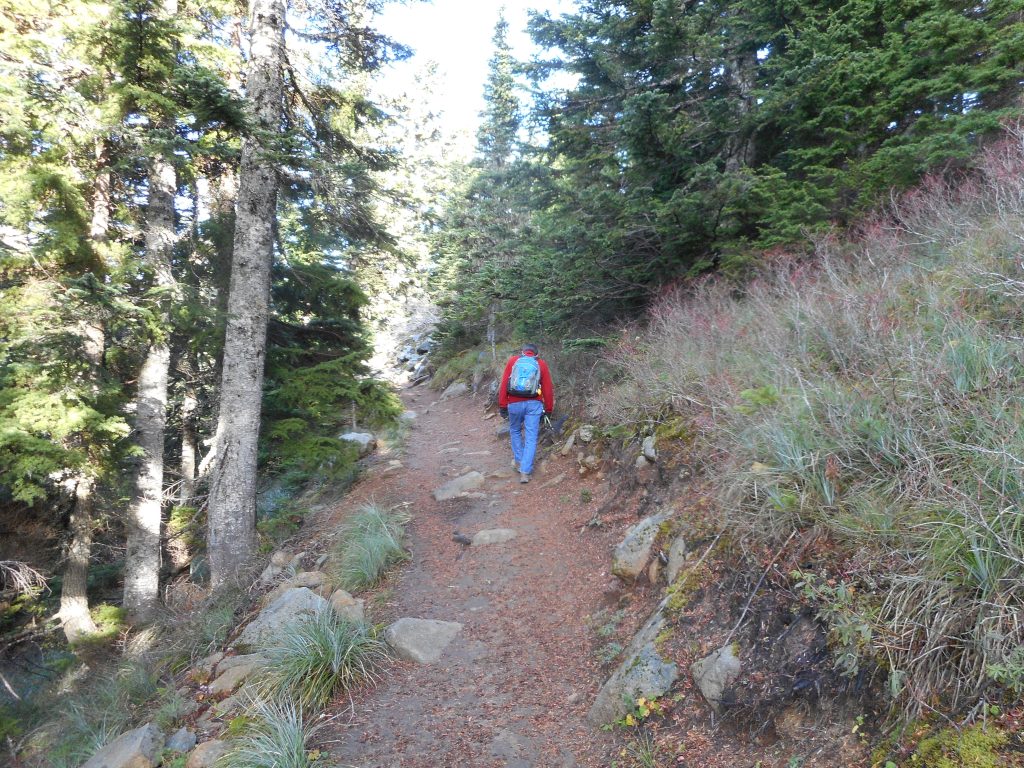 George hiking upwards at 4250'