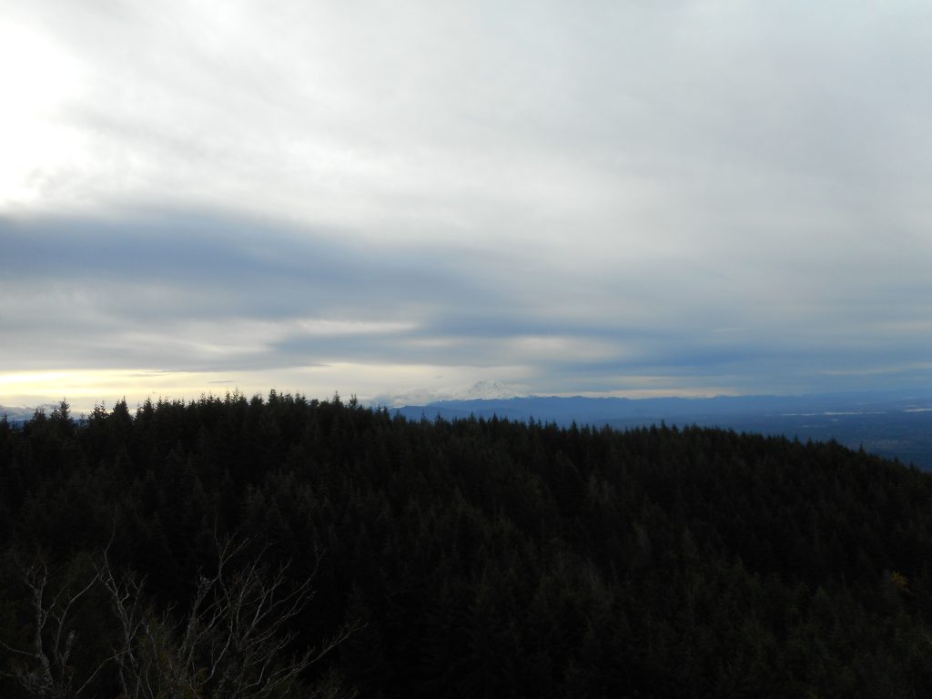 Slight view of Rainier