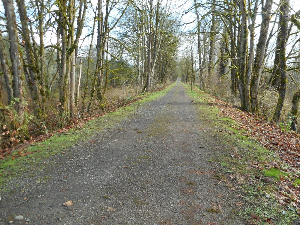 Looking south along the trail