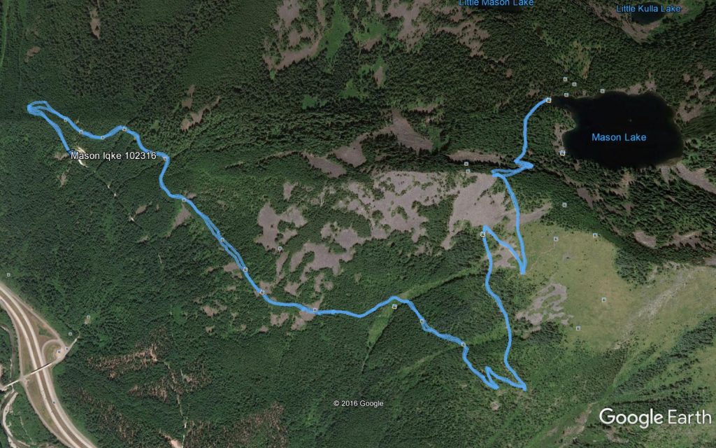 Google Earth image of Mason Lake hike