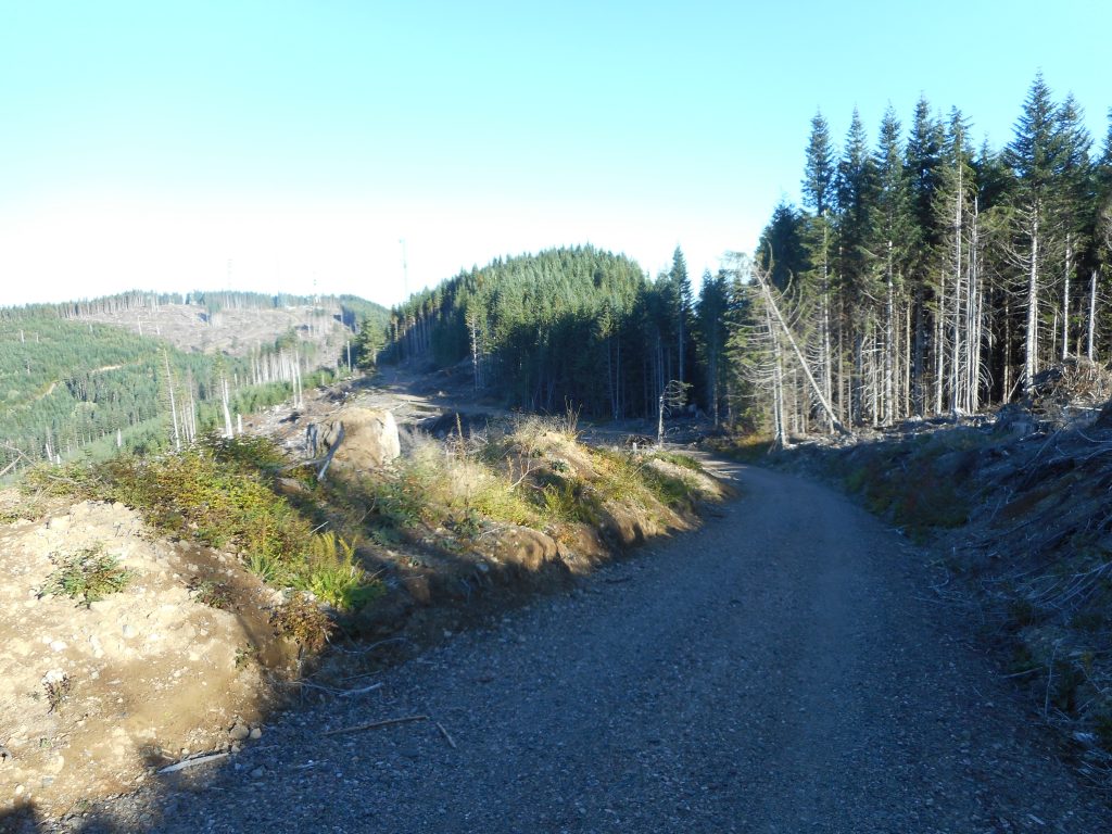 Ugly Detour and Clear-Cut Section
