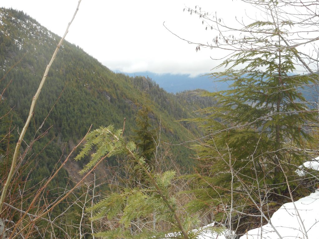 Hall's Point and Olallie View Point
